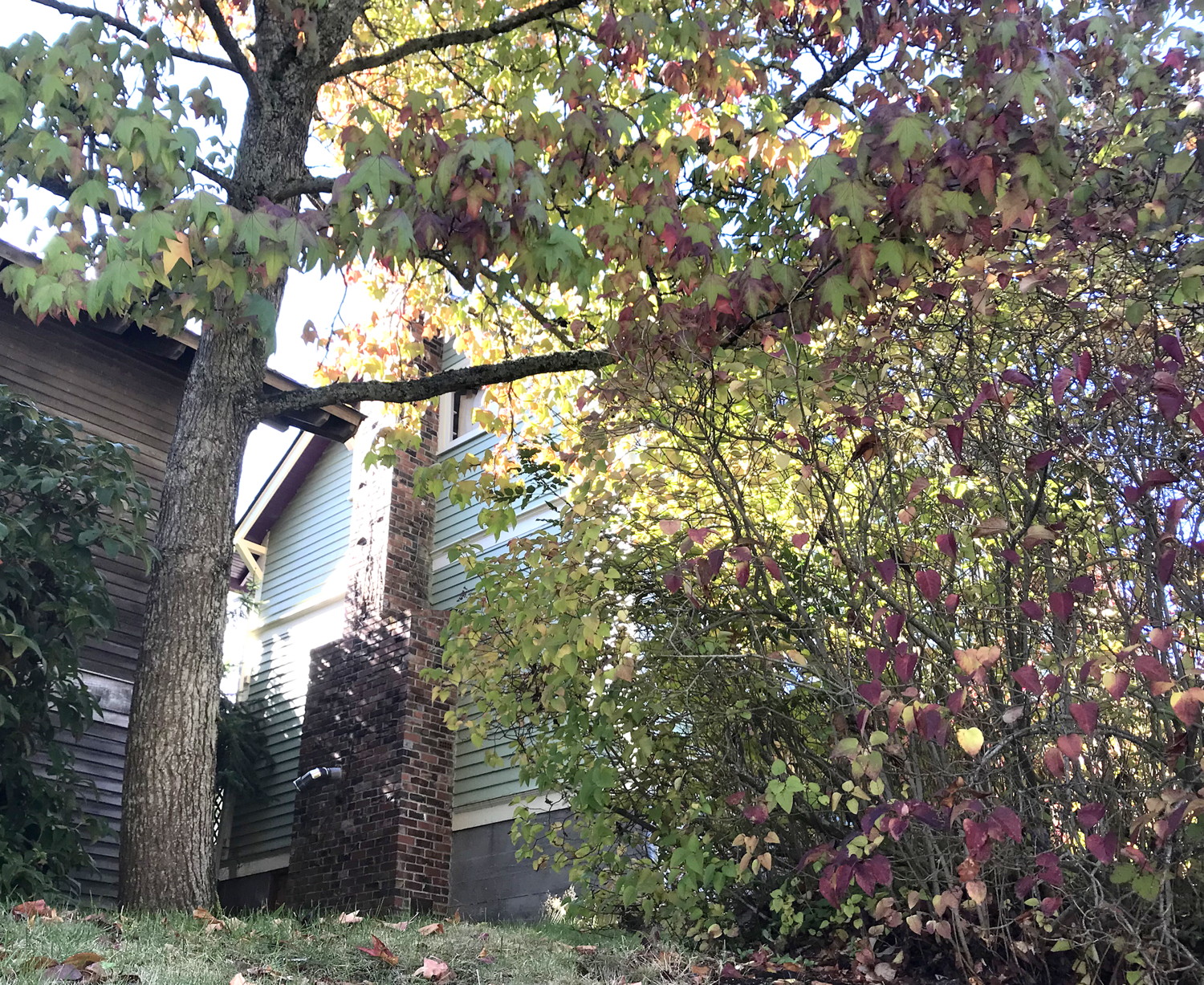 house